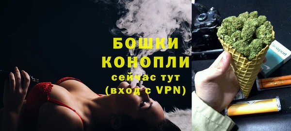 PSILOCYBIN Строитель