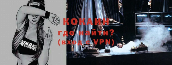 PSILOCYBIN Строитель