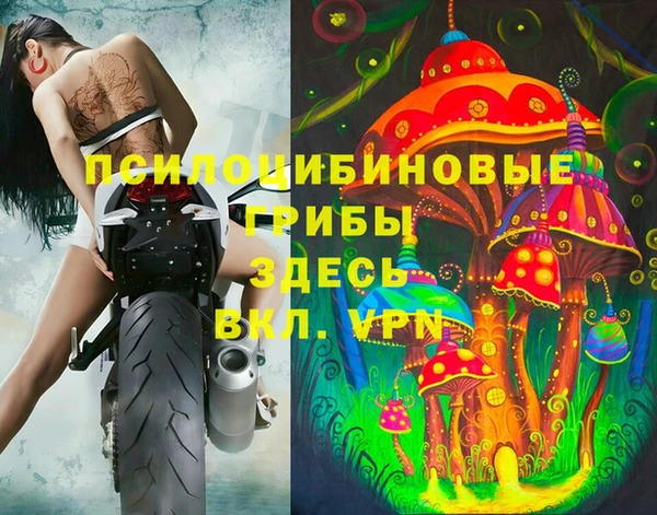 герыч Ступино