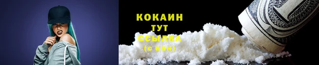 PSILOCYBIN Строитель