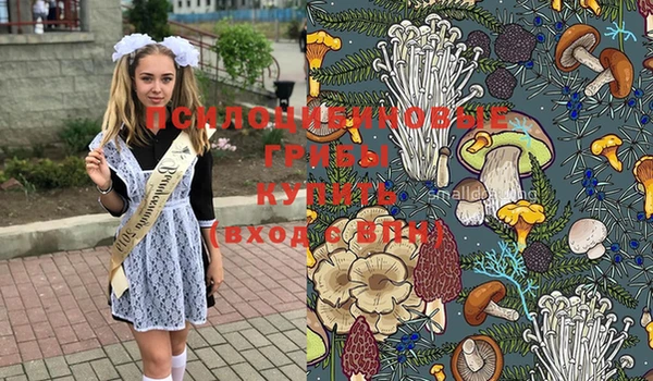 герыч Ступино