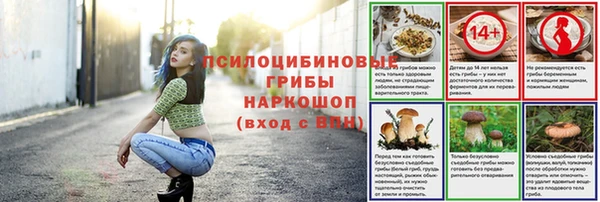 PSILOCYBIN Строитель