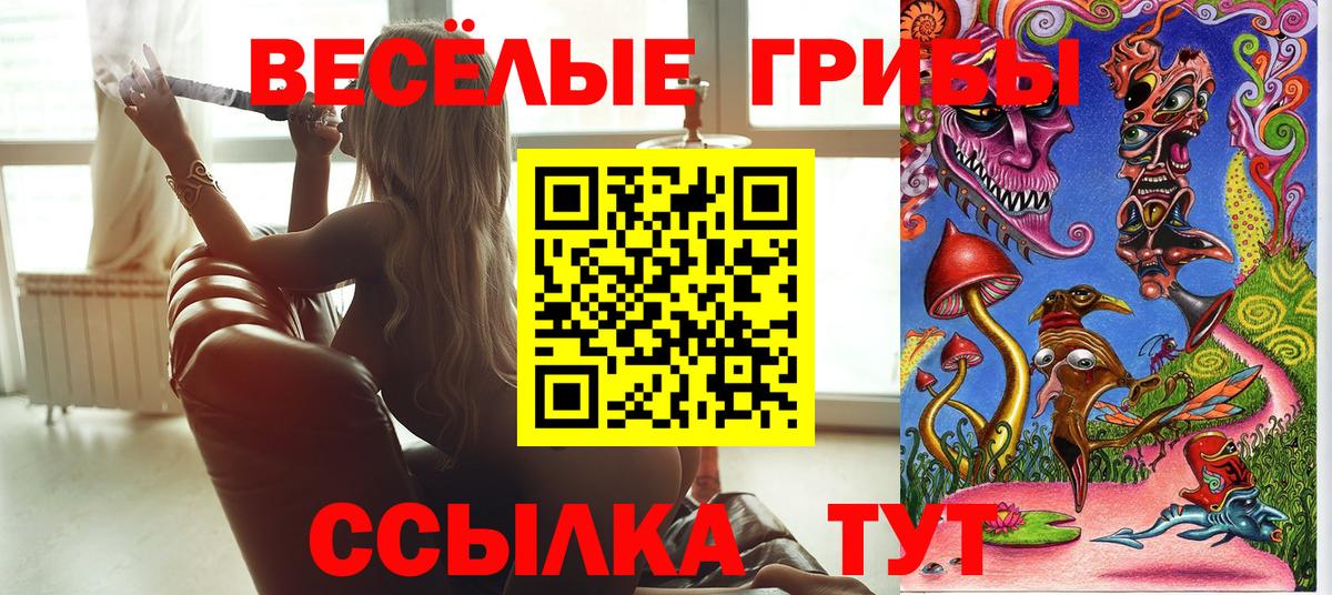 Галлюциногенные грибы Psilocybine cubensis  Ханты-Мансийск  Галлюциногенные грибы Cubensis 